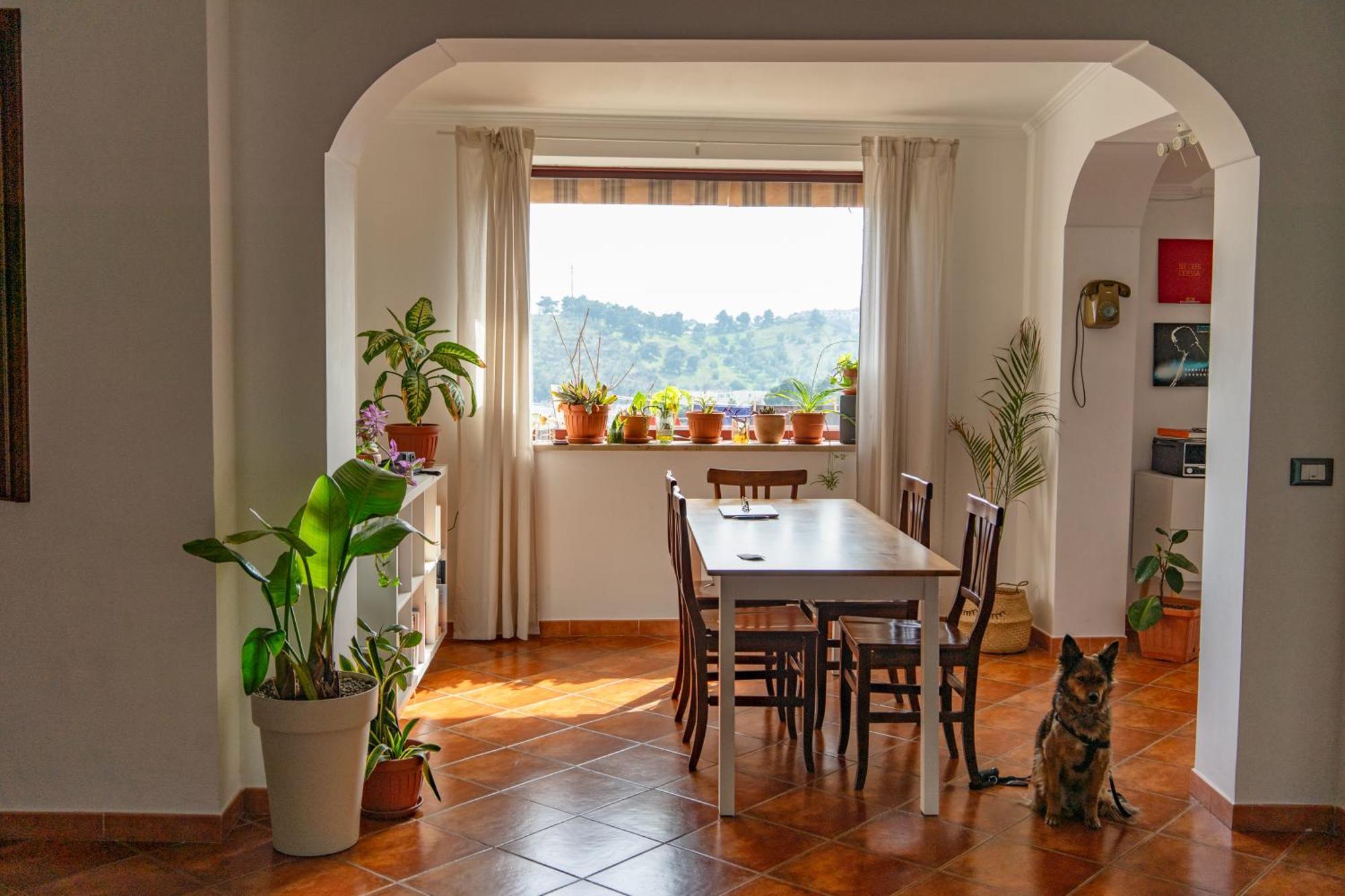 Coliving Together Gargano 비에스테 외부 사진